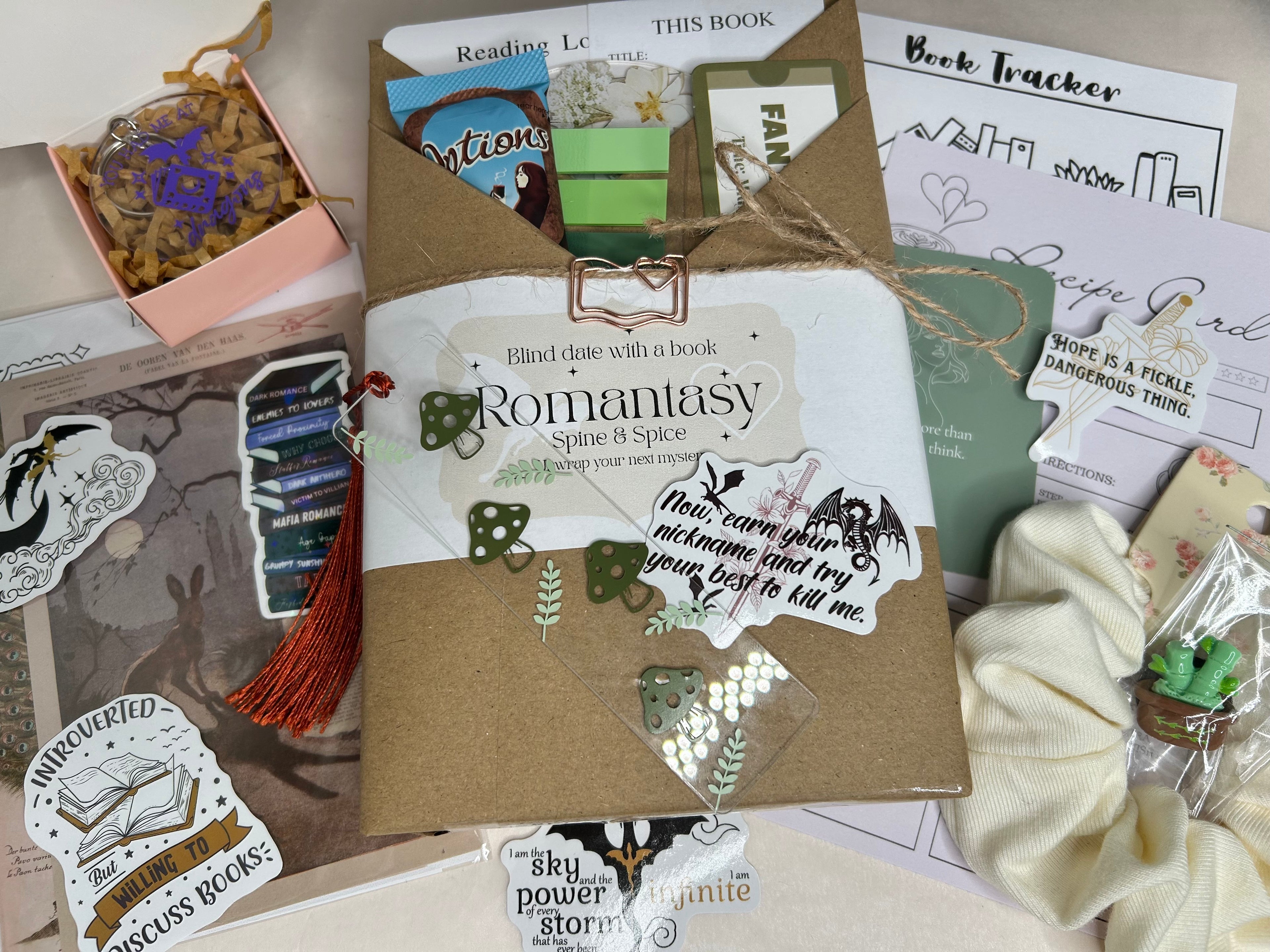 Blind date with a book premium edition